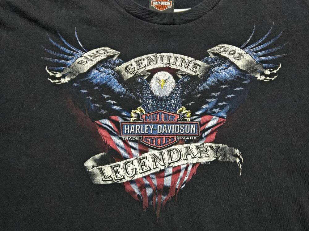 Harley-Davidson Men's Genuine Bald Eagle Flag Black T-Shirt McHenry Illinois